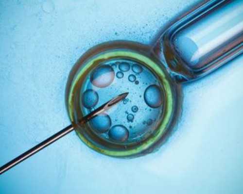 国内试管供卵生男孩,2025广州三代试管机构排名已更新